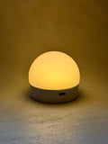 Extra Light Bulb